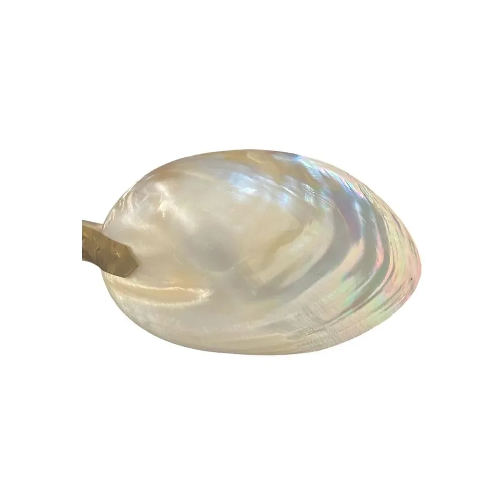 Vintage Mother of Pearl Seashell Caviar Serving Spoon Conch Hollywood Regency